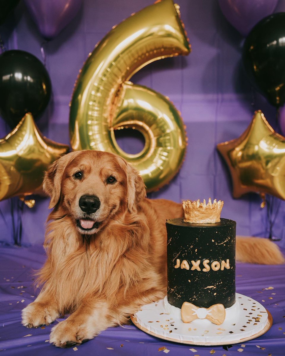 Jaxson, Sadie & Sawyer tweet media