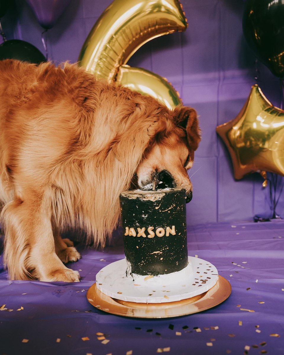 Jaxson, Sadie & Sawyer tweet media