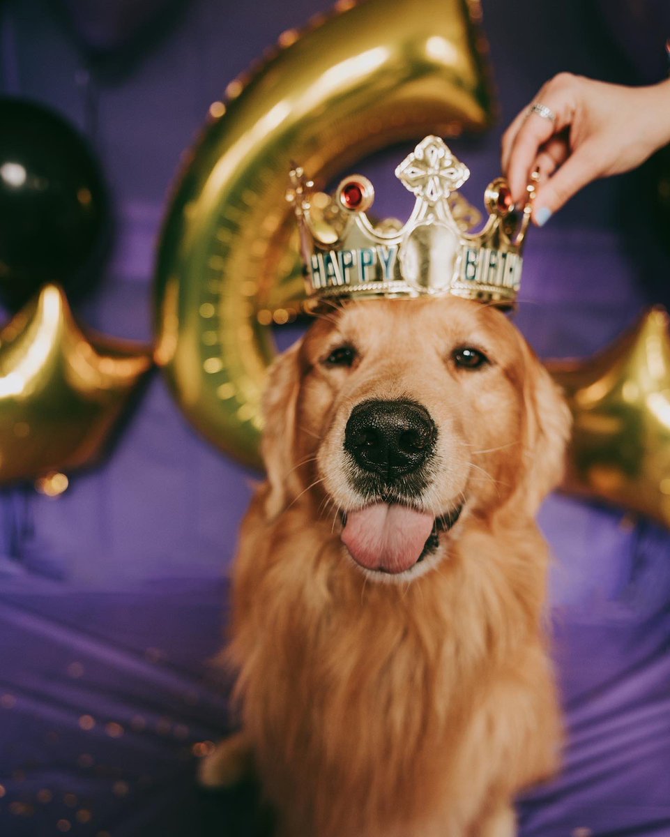 Jaxson, Sadie & Sawyer tweet media