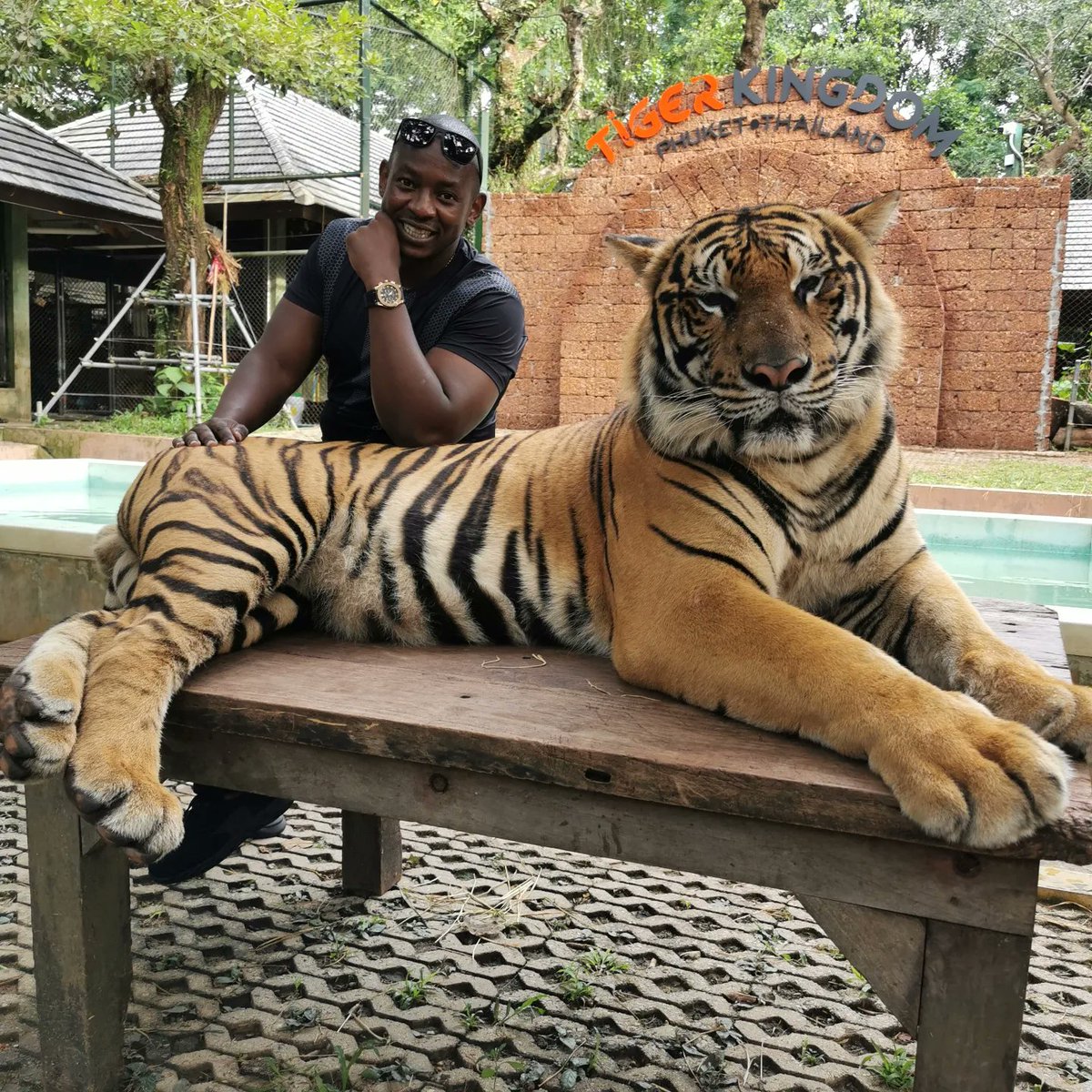 ombatim's tweet image. #NewProfilePic