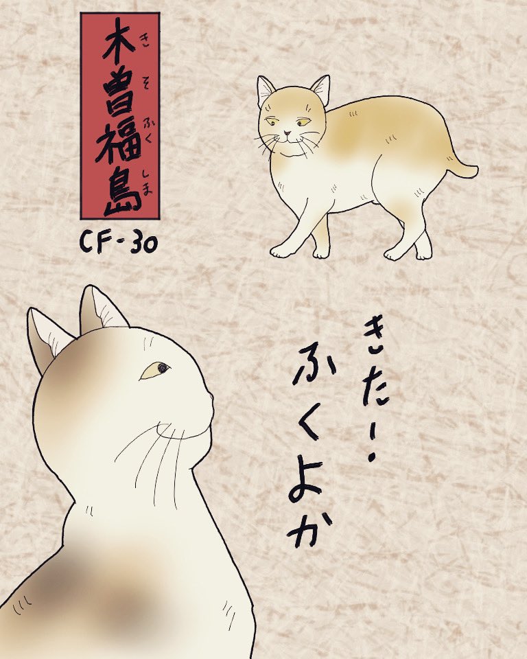 でぶ猫 のイラスト マンガ コスプレ モデル作品 1 件 Twoucan でぶ猫 のイラスト マンガ コスプレ モデル作品 1 件 Twoucan