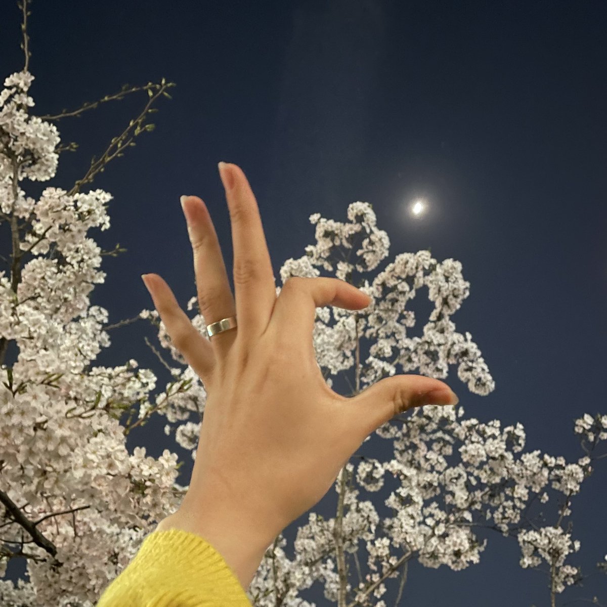 LUNARSOLAR (루나솔라) tweet media