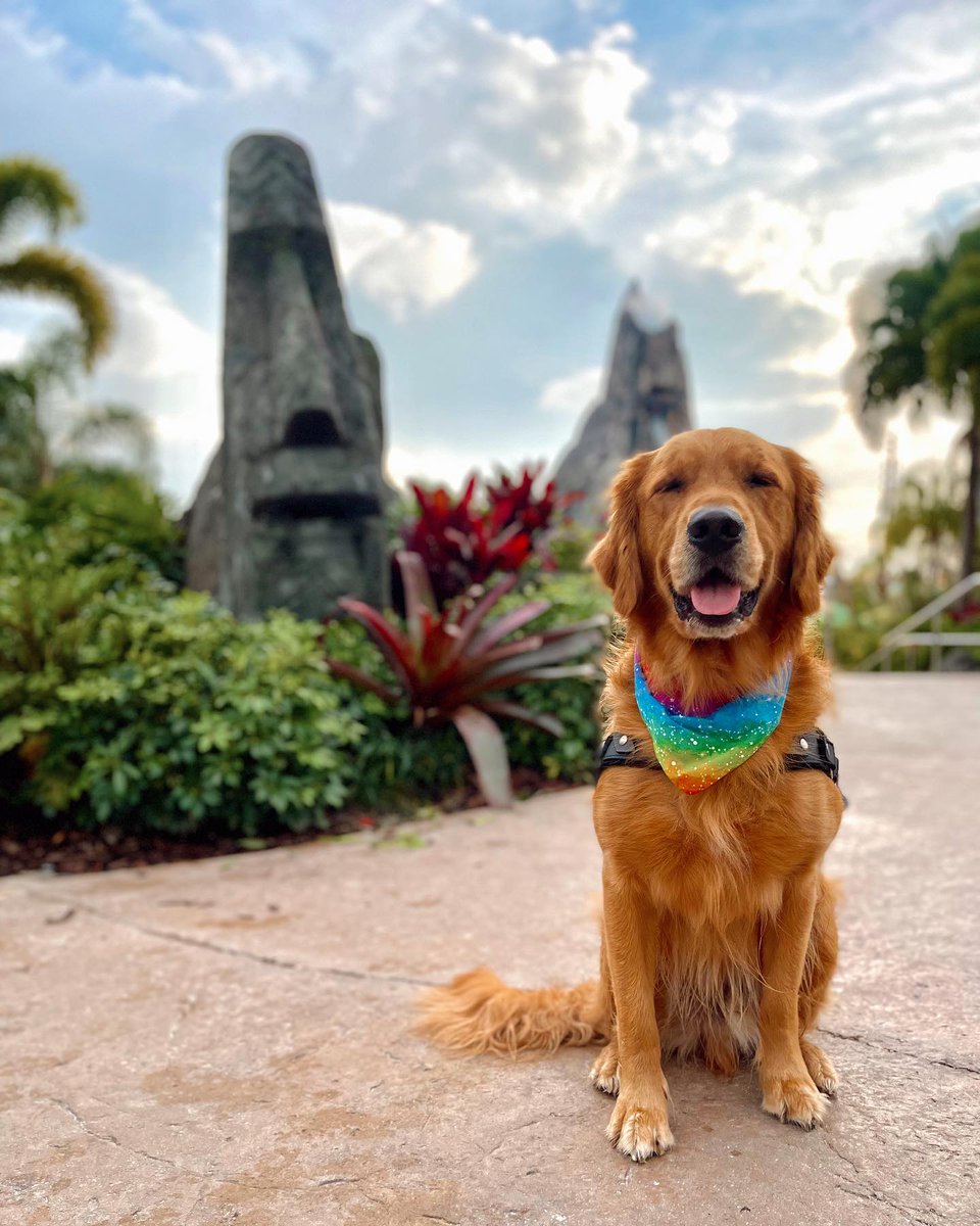 Universal Orlando Resort tweet media