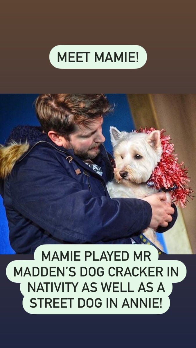 TayportMusical's tweet photo. It’s #NationalPetDay and we want you to meet the pets that have shared the stage with us! https://t.co/Gu20Dn9hhd