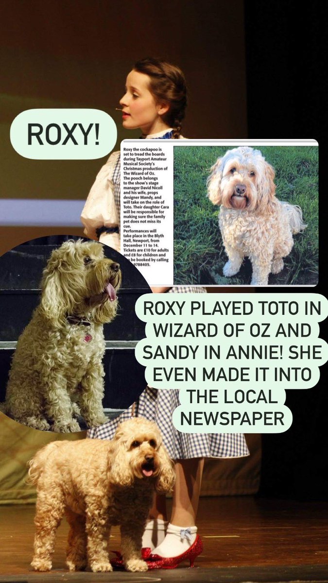 TayportMusical's tweet photo. It’s #NationalPetDay and we want you to meet the pets that have shared the stage with us! https://t.co/Gu20Dn9hhd