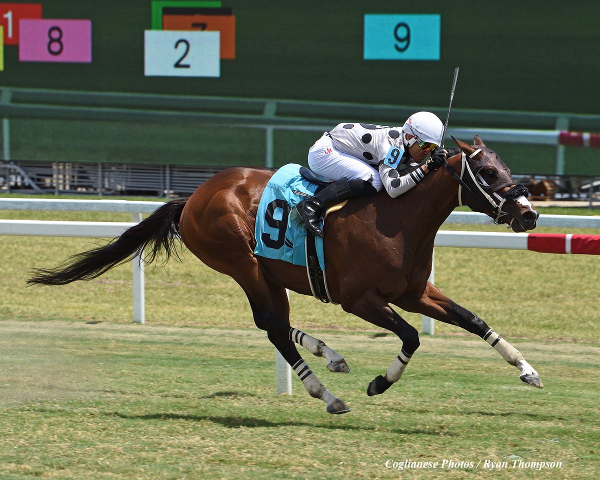 My three winners this week thank God 🙏🏻🙌🏻💯