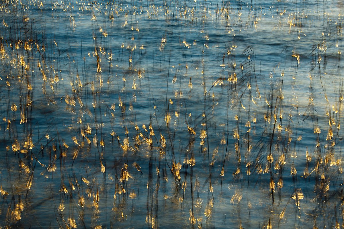 MattPaynePhoto's tweet photo. Today on my nature photography podcast, I was joined by none other than @sandrabartocha - a German photographer with amazing and unique images. She's the 1st VP for the GDT and one of the judges for the @natlandawards https://t.co/6Ez91qNhra