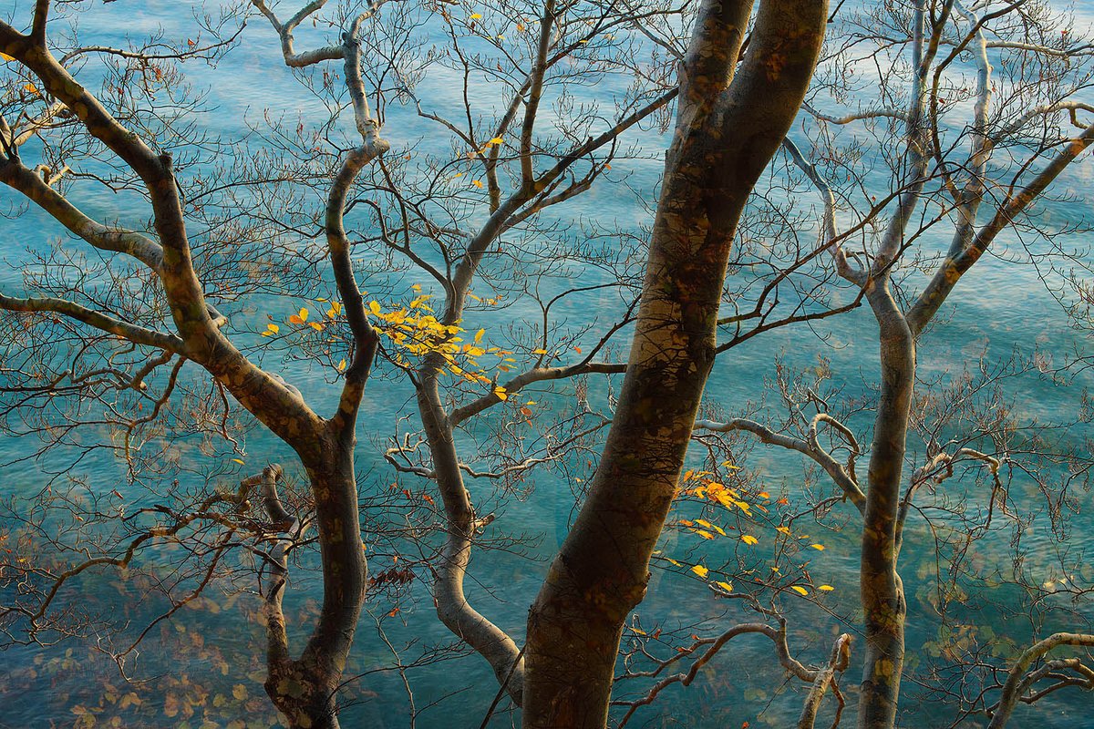 MattPaynePhoto's tweet photo. Today on my nature photography podcast, I was joined by none other than @sandrabartocha - a German photographer with amazing and unique images. She's the 1st VP for the GDT and one of the judges for the @natlandawards https://t.co/6Ez91qNhra