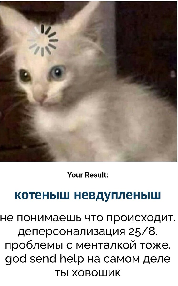 Burdichello's tweet photo. @Earrrrrrrrrrl Да https://t.co/XVqo3lbCKN
