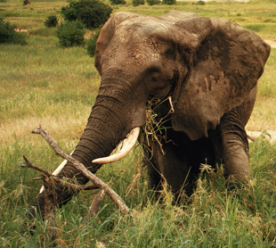 Ga je mee op ROM-safari?

Dit jaar heeft Stichting KiBG een volgende stap gezet in de doorontwikkeling. Je kunt vanaf nu je eigen ROM-uitkomstmaten toevoegen aan de spiegelrapportage, een mooie verrijking van het leren en verbeteren. buff.ly/3jt53Z8