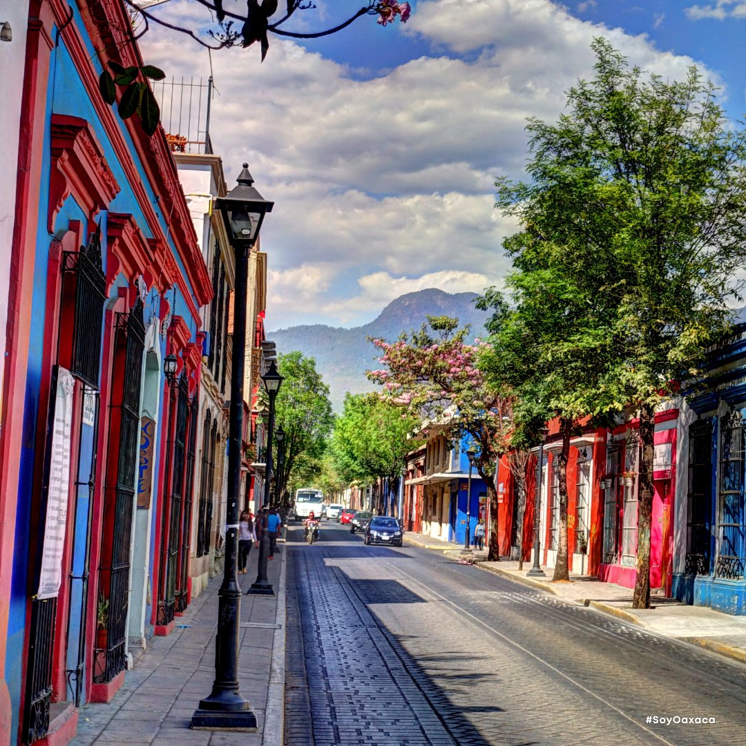 Amamos_Mexico's tweet photo. ¡Oaxaca es un estado con muchos colores! 🎨
Anímate a conocerlo 🙌🏽
Cuando vayas procura tomarte muchas fotos 📸 y compartirlas con el #SoyMéxico y #SoyOaxaca 
👀@secturoaxaca
#oaxaca #México #oaxacatravel  #oaxacacultura  #oaxacademisamores #visitMéxico https://t.co/ClPNcNWv94