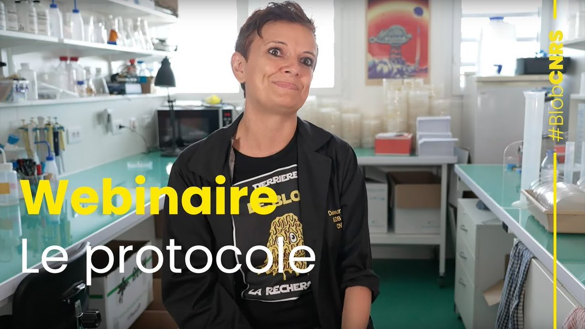 CNRS's tweet image. #BlobCNRS | Dans ce webinaire (sous-titré !), @Docteur_Drey revient sur les points principaux de l'expérience de science participative, ainsi que sur les questions posées par les volontaires.

➡️youtu.be/iFIG85xGqUo