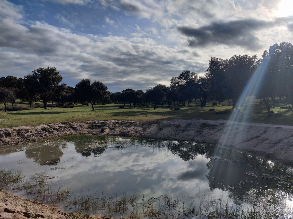 edumcmxcvii's tweet photo. Zarco, ca Dicho especialmente de los ojos: De color azul claro.
En este caso, agua zarca, según Diccionario del Campo Arañuelo toledano. https://t.co/u4QluJVtSG