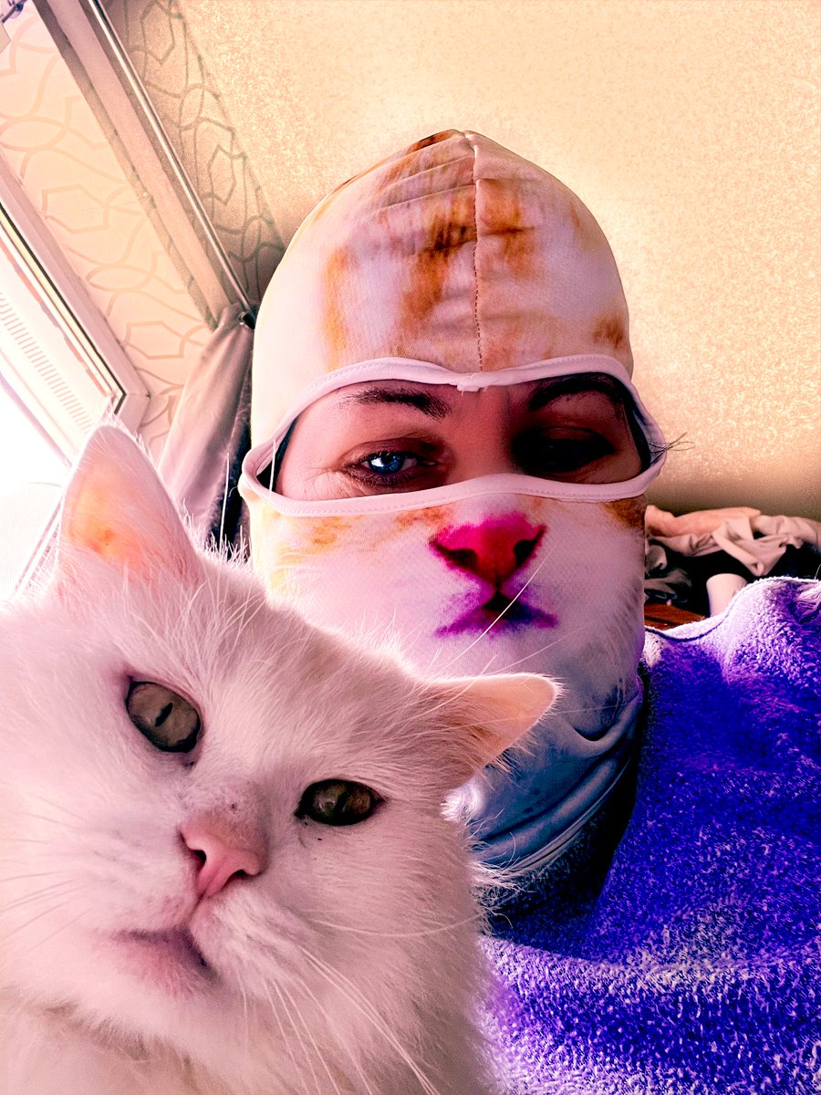casper_cats's tweet photo. Casper #selfie with our #tabbycat #funnypics #beercat #coronabeercat #portraitcat @Andrea56822453 @steder74 @Mr_Pie @funnylaughtrax @AmbassadorAries @TabbyCatFrank #CatsOfTwitter #NationalPetDay https://t.co/8eQSTDNmDM