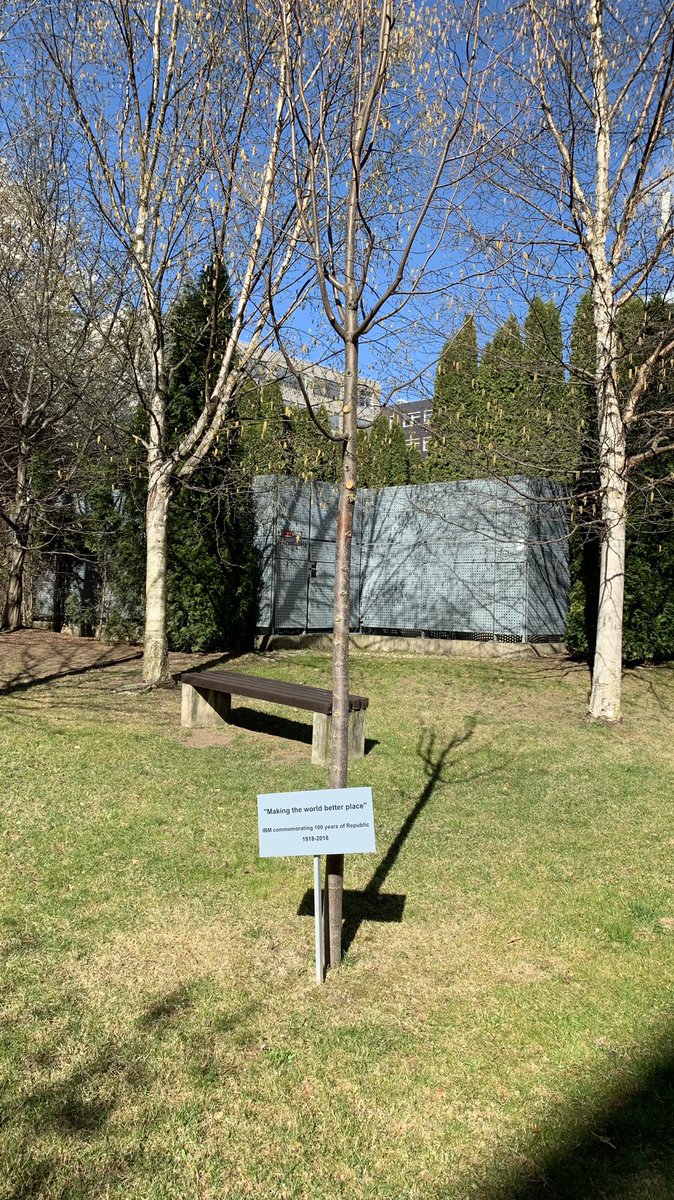 poke128's tweet photo. Hey #Kyndryl managers, why you start cutting down blossom sakura's on your Brno’s backyard? It’s definitely not KIND, it is corporate arrogance. Are you also planning to cut tree on second image? https://t.co/PIdFlvEWdx