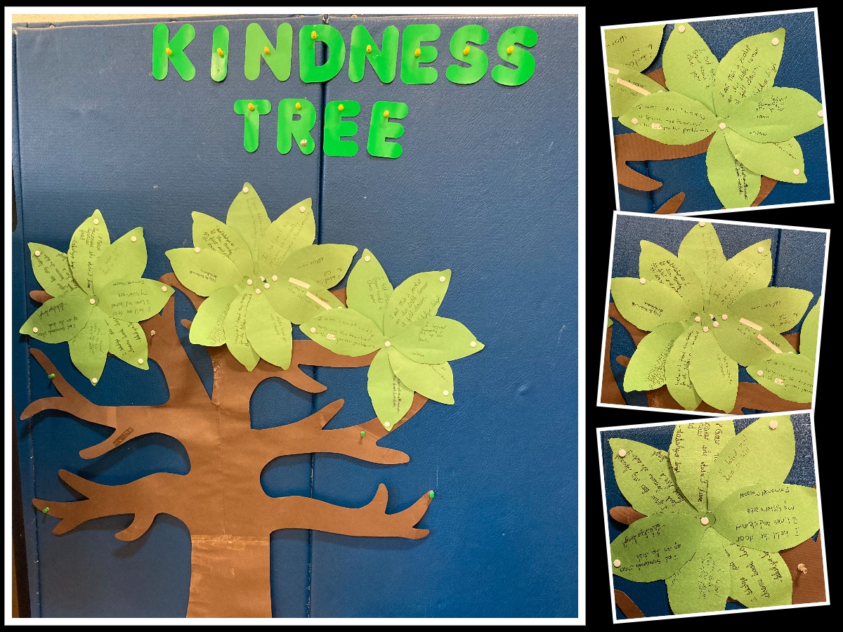 FishkillSt's tweet photo. Our 7th graders created a Kindness Tree reflecting on the ways they show kindness in their lives. #smsfishkill #sweet7thgraders #kindnessiskey https://t.co/fss8ktfvpI