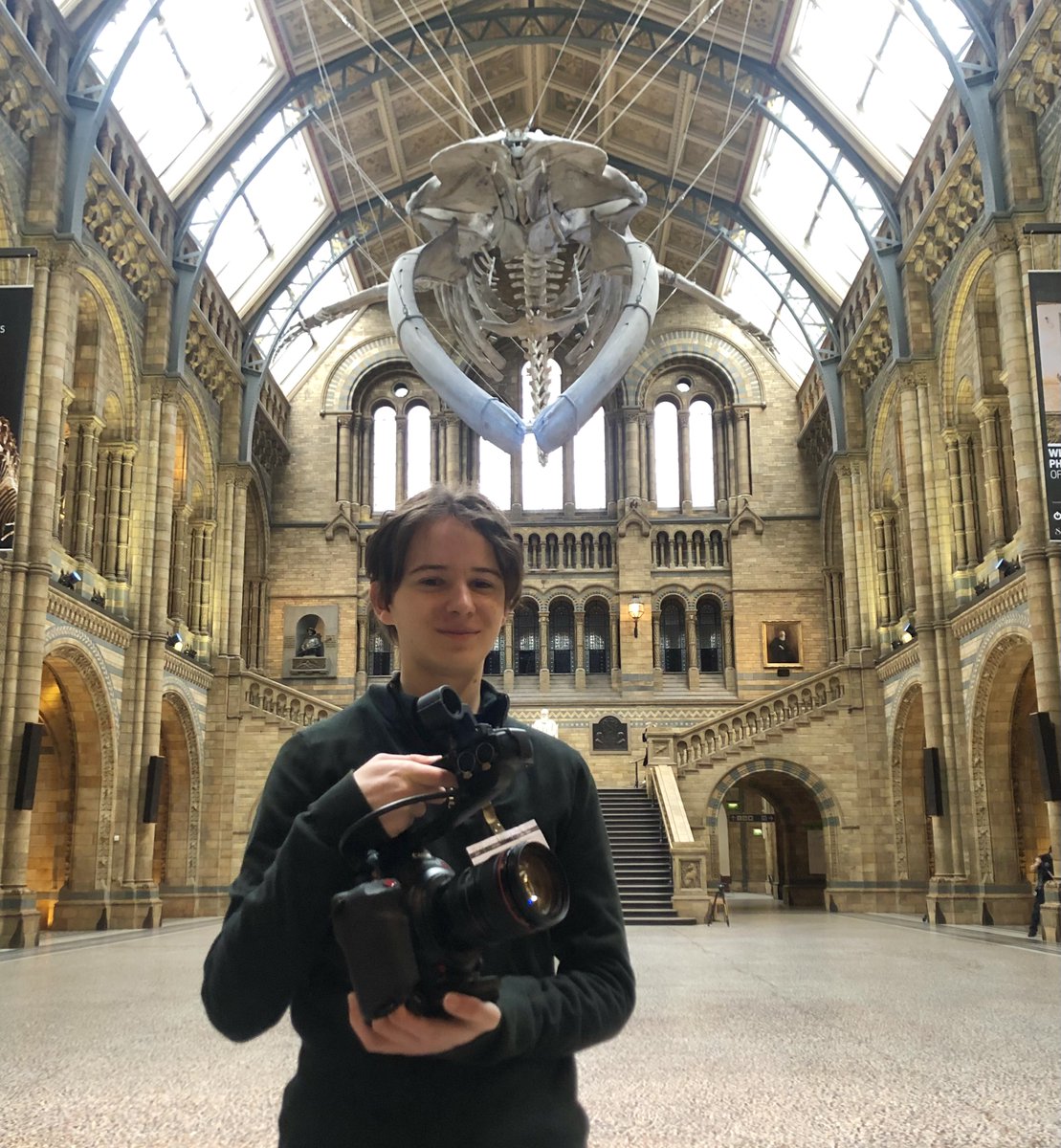 David Martin tweet media