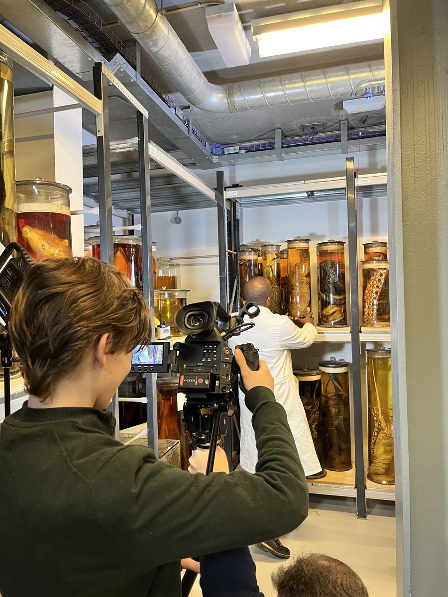 David Martin tweet media