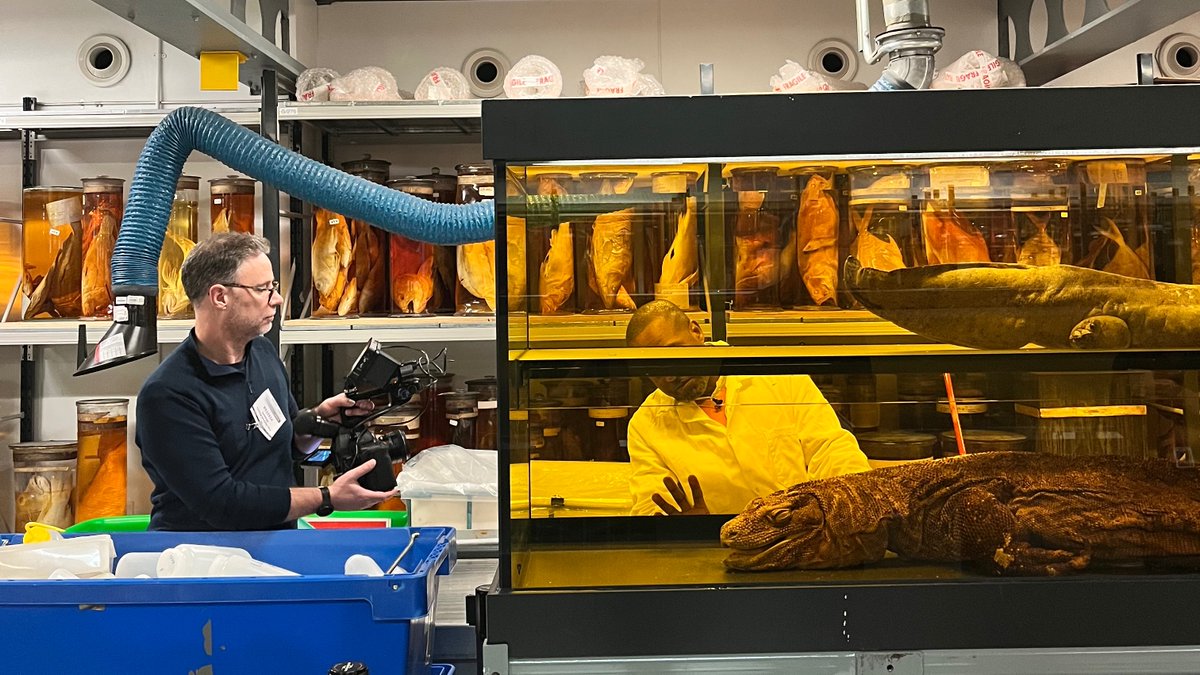 David Martin tweet media