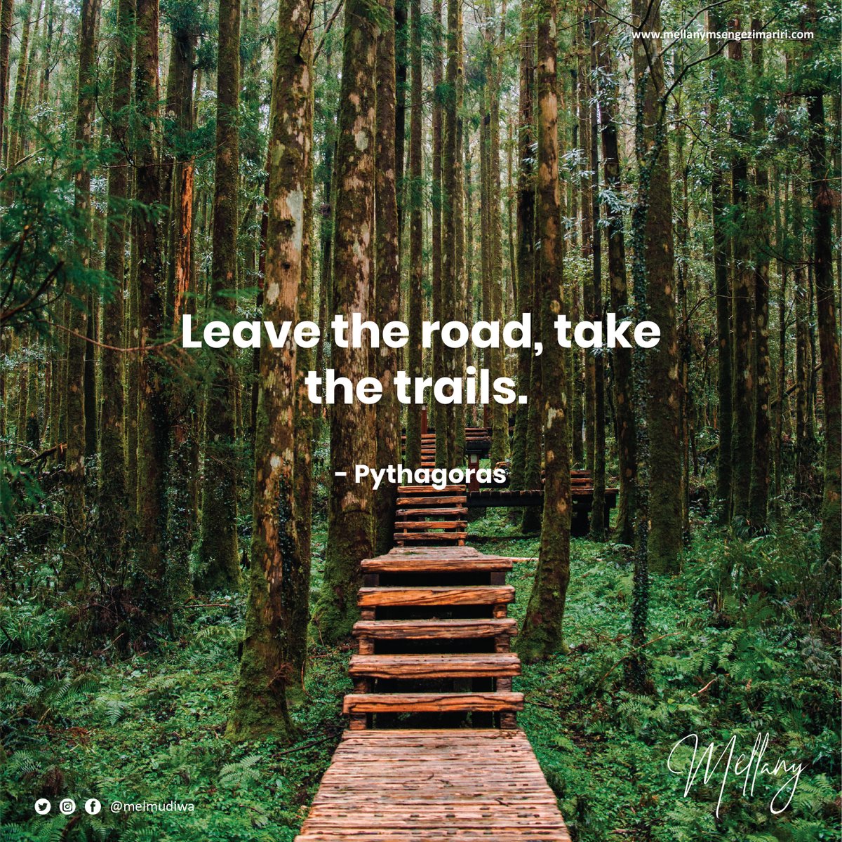 melmudiwa's tweet photo. Leave the road, take the trails. —Pythagoras https://t.co/GZLE2pGexa