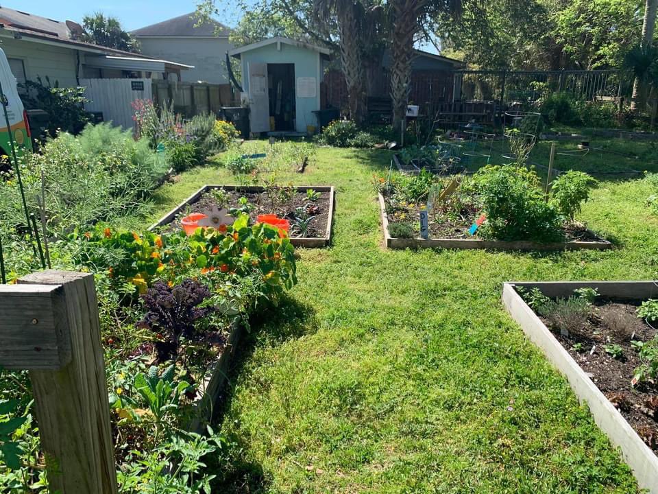 diglocalinc's tweet photo. Won’t you be my (garden) neighbor?

Dutton Island Community Garden in Atlantic Beach has plots available!

For information or to apply for a plot, please visit DIG Local at https://t.co/xFmP6SYvZS and fill out our application form. https://t.co/CZK2wSmcqa