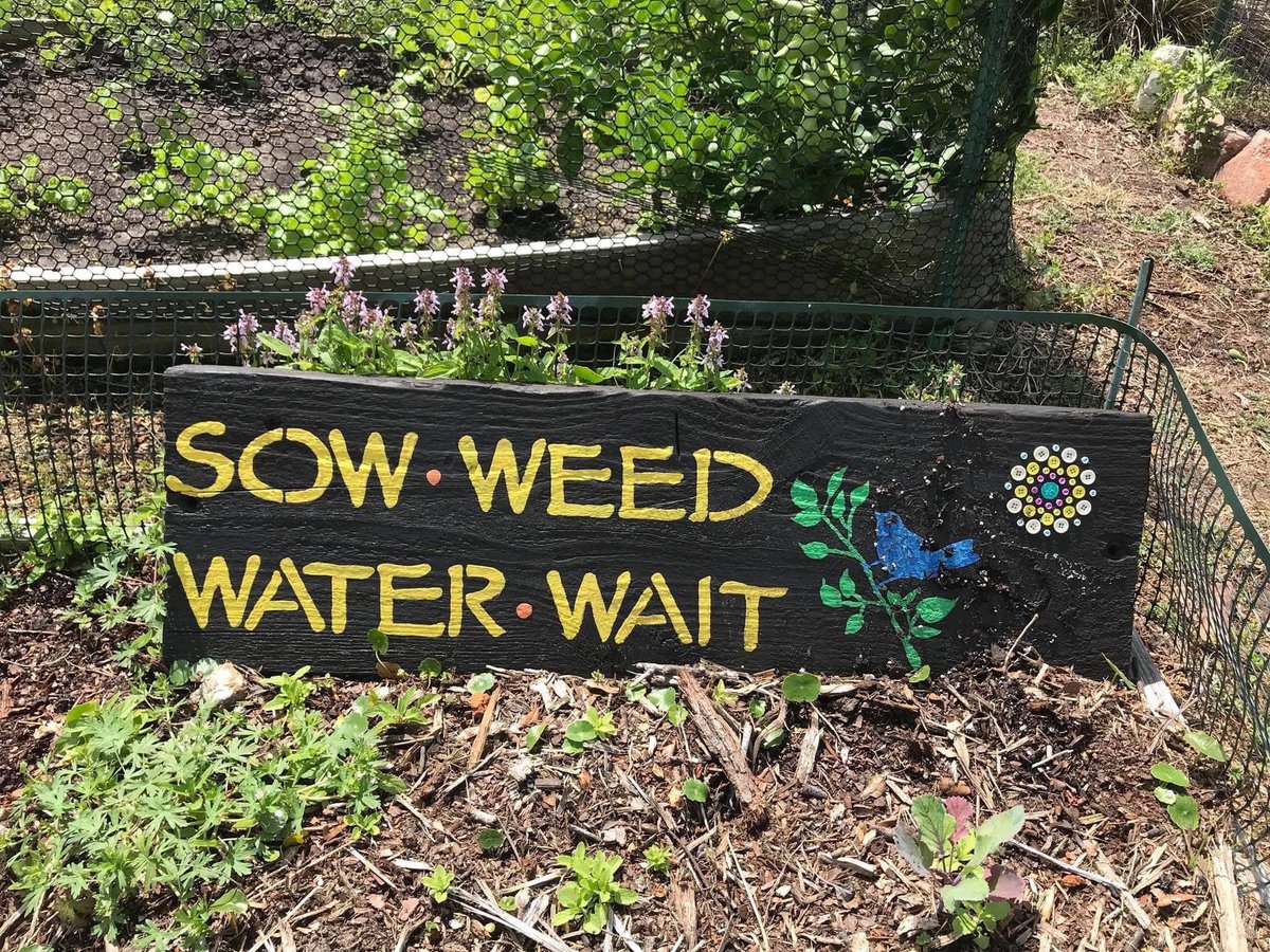 diglocalinc's tweet photo. Won’t you be my (garden) neighbor?

Dutton Island Community Garden in Atlantic Beach has plots available!

For information or to apply for a plot, please visit DIG Local at https://t.co/xFmP6SYvZS and fill out our application form. https://t.co/CZK2wSmcqa