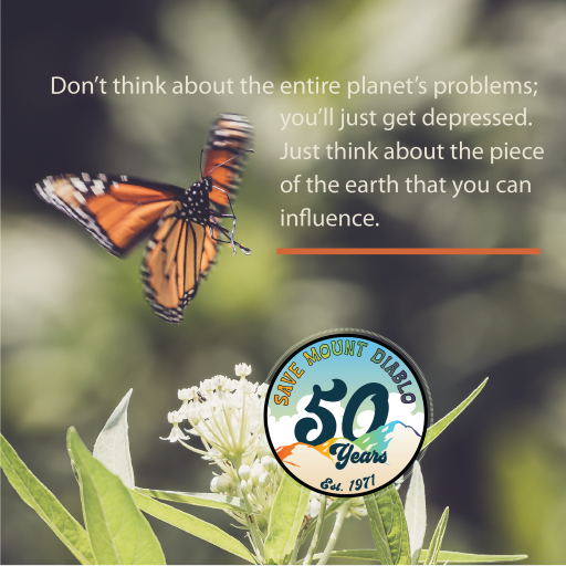 SaveMountDiablo's tweet photo. “Don’t think about the entire planet’s problems; you’ll just get depressed. Just think about the piece of the earth that you can influence.” —Doug Tallamy https://t.co/ORa77gYzo1
#SaveMountDiablo #MountDiablo #MtDiablo #CaliforniaNativePlants #HomegrownNationalPark https://t.co/W7dvApaCi4