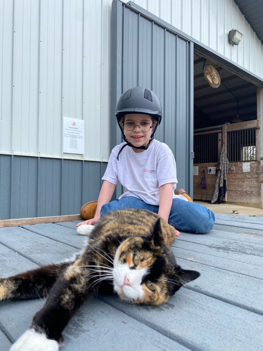 TheRedBarnAL's tweet photo. Pet Day?! Then we definitely need to talk about Xena. She is a social cat and loves to greet you, and will beg you for attention. She runs the place, and we are all living in her world! https://t.co/bBZz0h5Auf