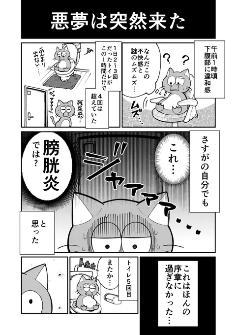 ⚠️急性膀胱炎になった話です

正直なめてました。身をもって予防してなかったことを後悔したので、皆さんも気をつけてくださいね!!(本当に拷問並みの痛さでした…!!!) 