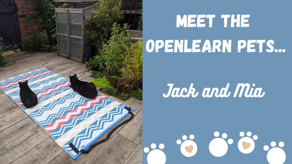 OUFreeLearning's tweet photo. Meet Jack and Mia - our Editor Sofia's cats.
There's nothing they love more than #yoga - so we reckon they should cast their eyes on this article about two key female figures in the popularisation of yoga in Britain:
https://t.co/UaUAuKyTbm
#NationalPetDay #MeetTheOpenLearnPets https://t.co/Lz17MJs6rg