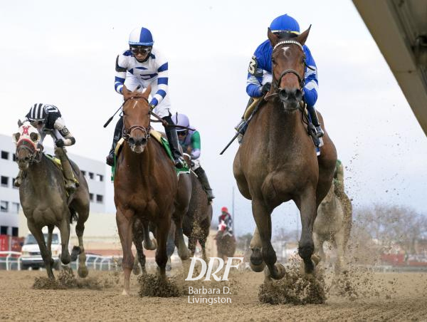 Daily Racing Form on Twitter: