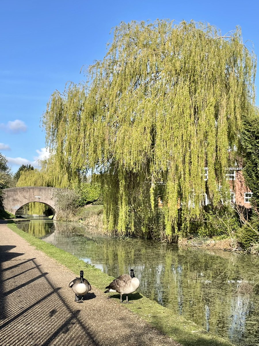 pringle_maria's tweet photo. #treereflections #nature #canal #water https://t.co/sGkcihbcZz