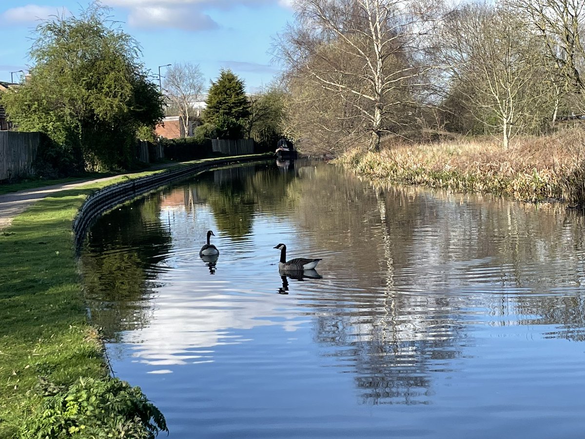 pringle_maria's tweet photo. #treereflections #nature #canal #water https://t.co/sGkcihbcZz