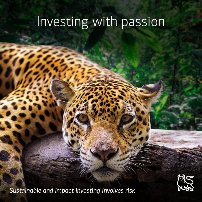 MerrillEdge's tweet photo. Crafting an investment portfolio that aligns with your passions starts with Idea Builder—with investing inspiration and insights from top global minds.