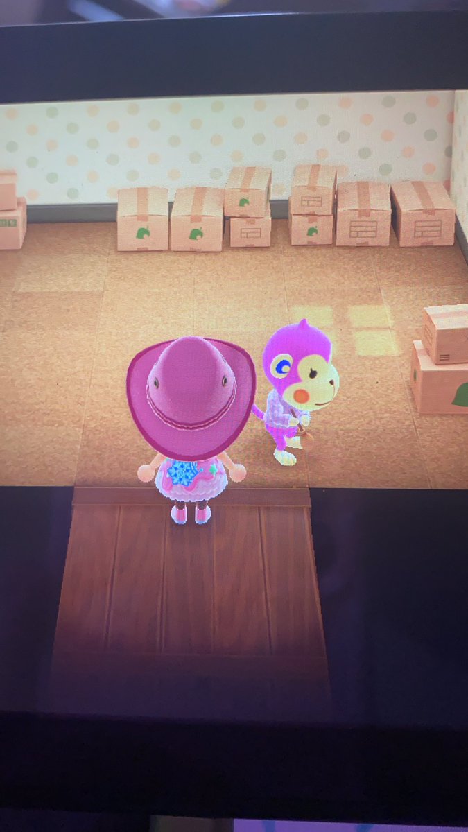 MangoAcnh's tweet photo. hello lovelies! I have nana in boxes today, if anybody would like her (free) please comment or dm me! <33 #acnh https://t.co/b8nPaRkVk7