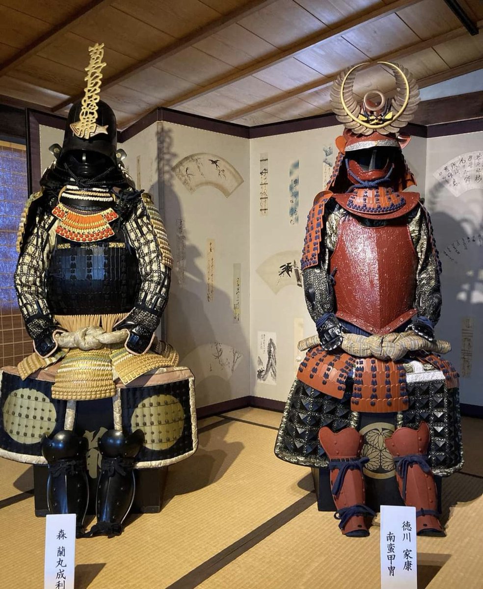 本日、市内で所蔵されている甲冑二体をお借りして展示しました。 徳川