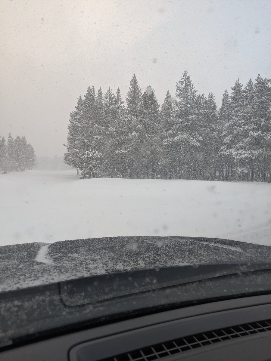 If April showers bring May flowers, does April snow help the grass grow?