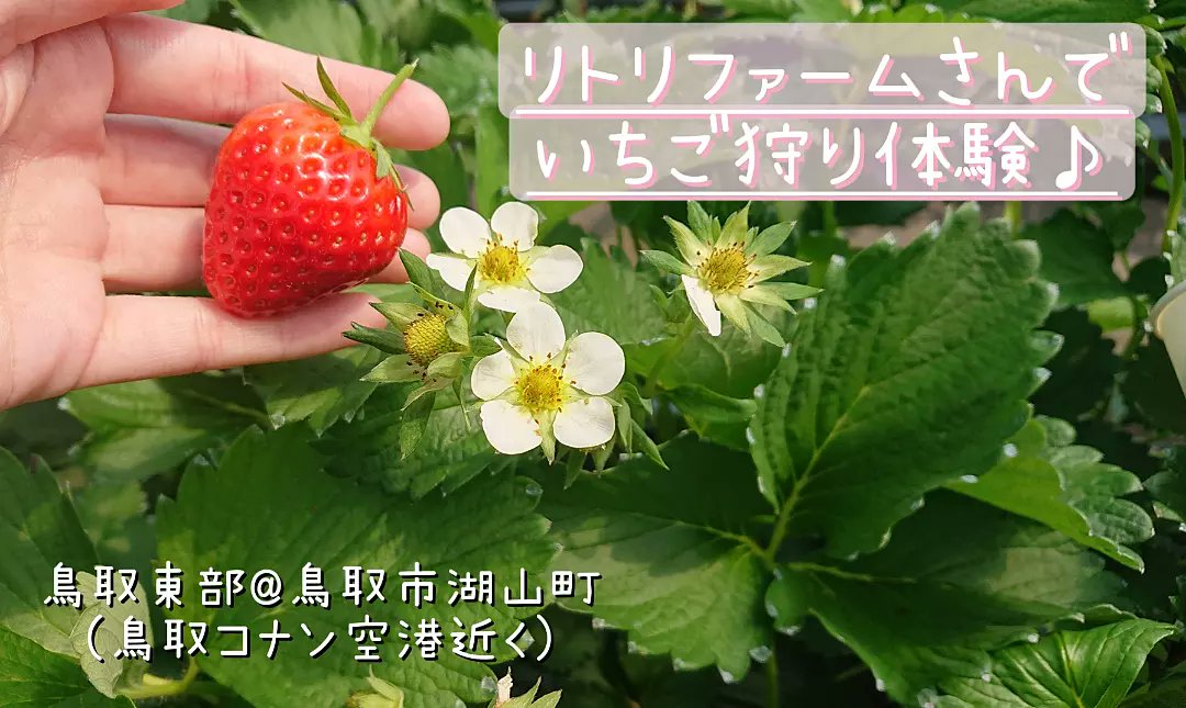 鳥取イベント 鳥取市の交流イベント Te Twitter 鳥取イベント 鳥取市の交流イベント Te Twitter