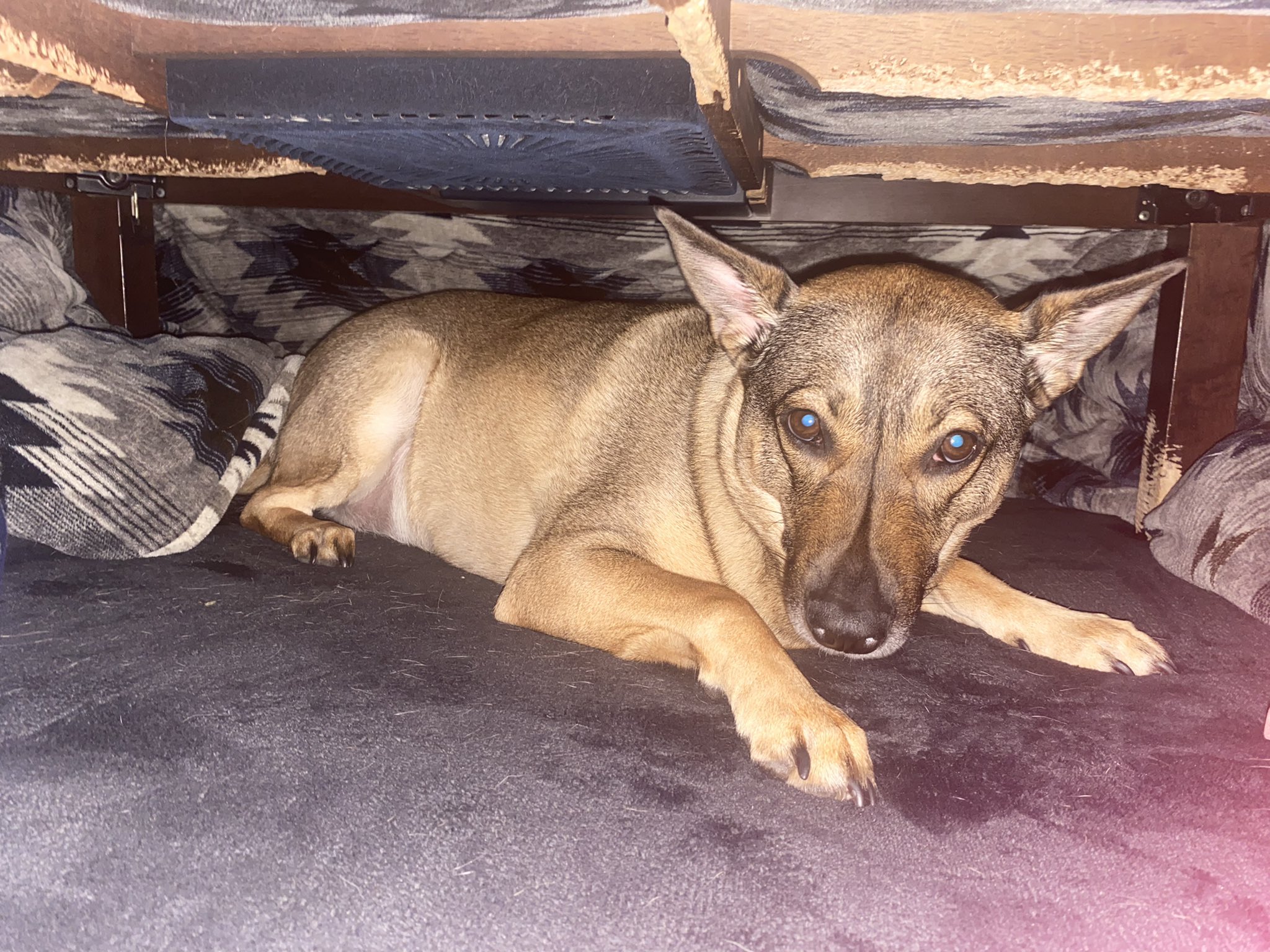 エンジェルズ Twitter Search Twitter