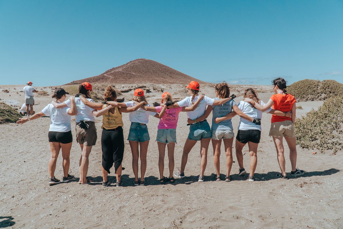 Canary Islands Green tweet media