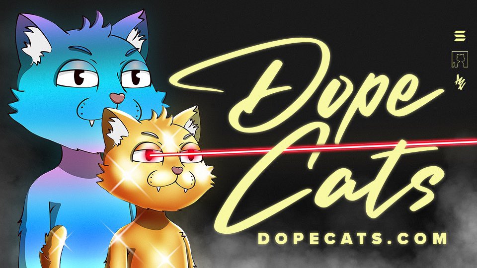 ordinary_kipps's tweet photo. @Dope_Cats #staydope #dopecats https://t.co/FGy6uAQ64H