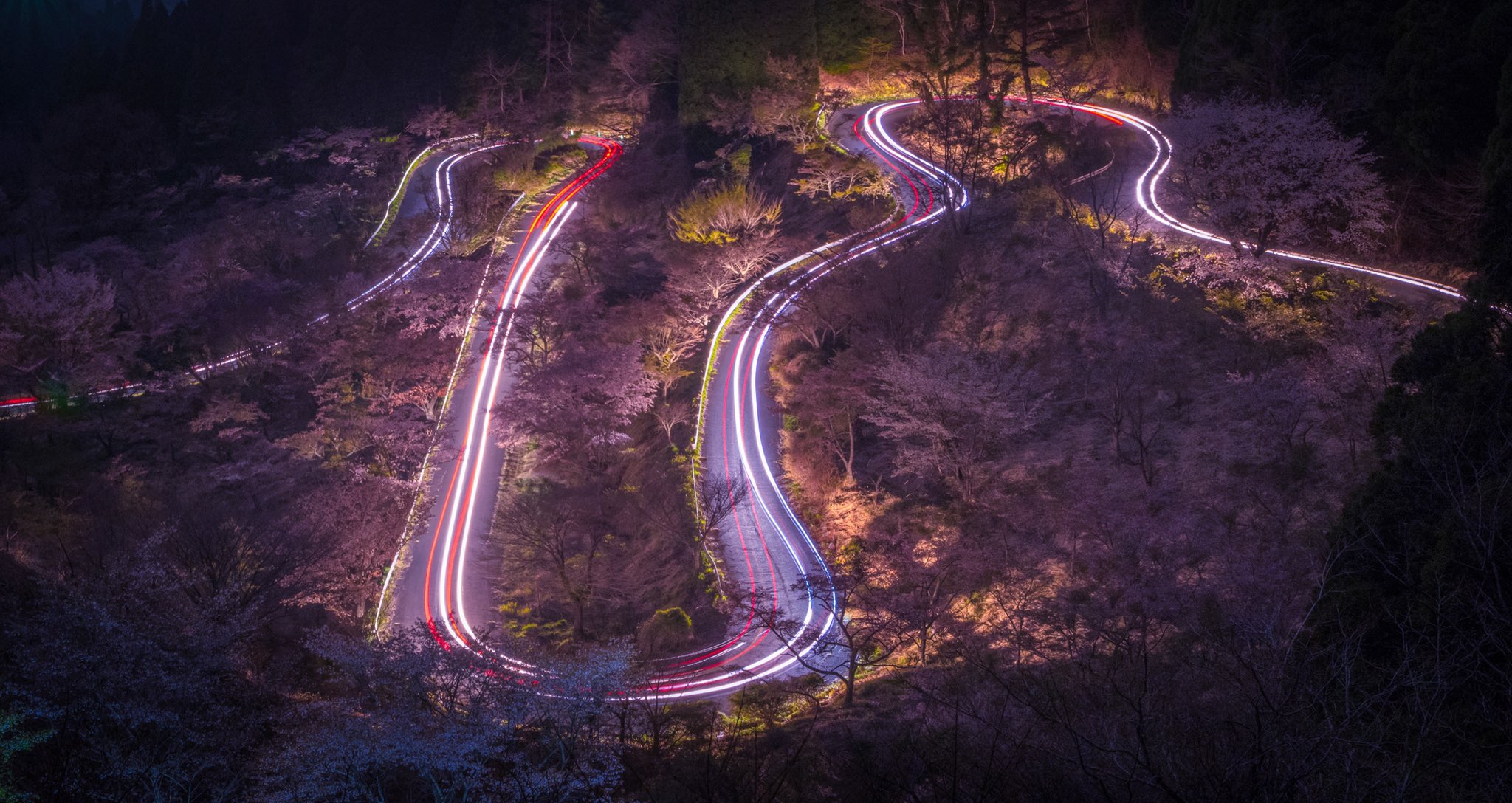 高森峠千本桜 Twitter Search Twitter