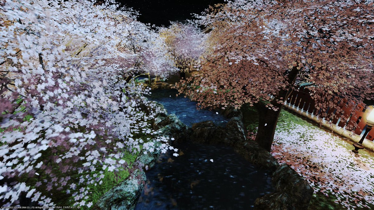 vivinyan_FF14's tweet photo. 昨日サブ子んちの庭でらんぷくんと撮ったSSおいて寝るべ٩(๑❛ᴗ❛๑)۶
#FF14 #LLVV https://t.co/z3cjJO0wnQ