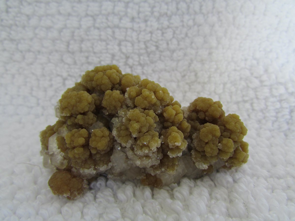 Bisbeeborn1's tweet photo. Mimetite Monday
Today we are  featuring the mineral Mimetite.  Please check out our selection at https://t.co/JHKzgrDkxV
#Minerals #Mineralcollecting #crystals #fineminerals #mineralspecimens #mimetite https://t.co/EaohfrmbWg