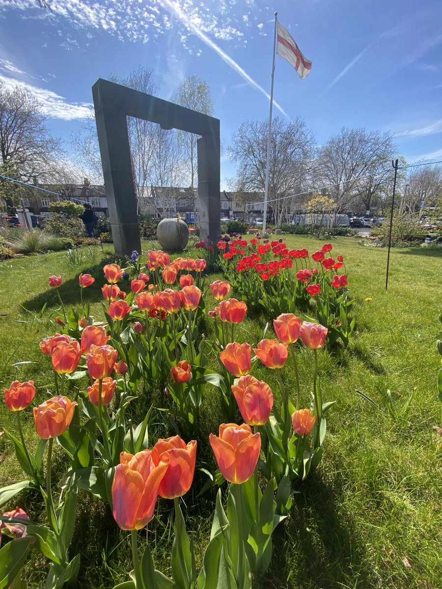 ⁦@StGeorgesTrust⁩ ⁦@GivingtoGeorges⁩ #tuliplove 🌷