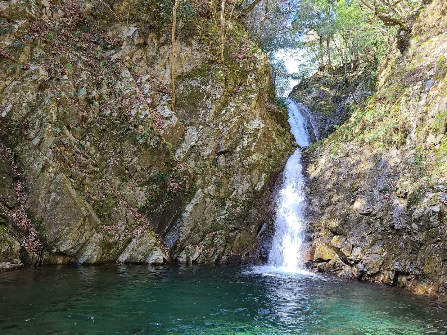 フリースクールsince 識盧の滝に行ってきました 透明度が高すぎてびっくり 最高にリラックスできました フリースクール 居場所 識盧の滝 T Co Lbvlcke69x Twitter