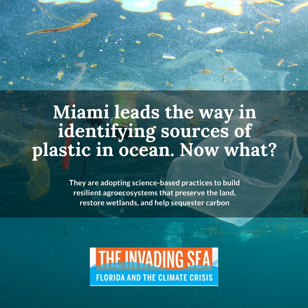 A working group hopes the city will adopt regulations to reduce plastic debris. Full story: bit.ly/3734FOs 
#floridaenvironment #floridaclimate