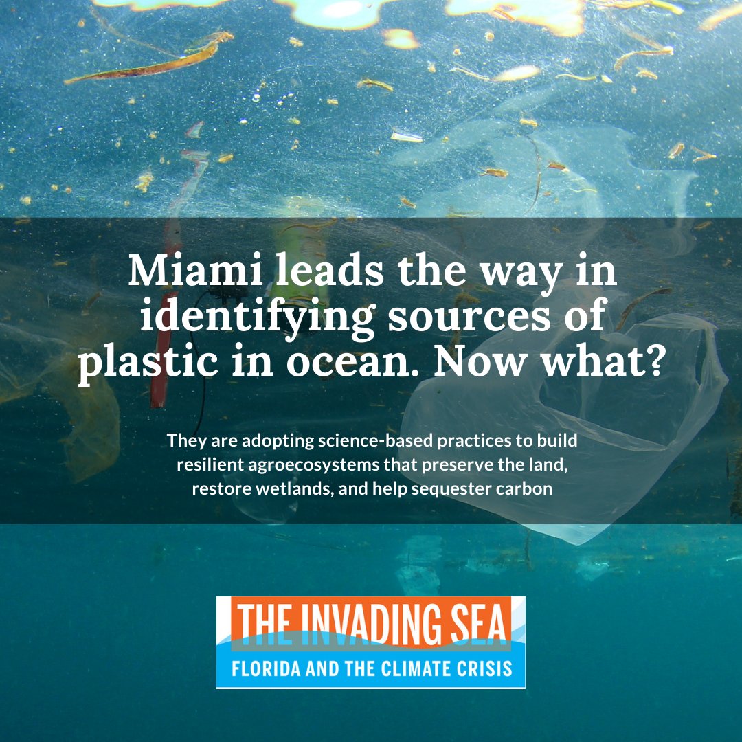 theinvadingsea's tweet photo. A working group hopes the city will adopt regulations to reduce plastic debris. Full story: https://t.co/CrBru6Xa2I
#floridaenvironment #floridaclimate https://t.co/AVqRryOkv4