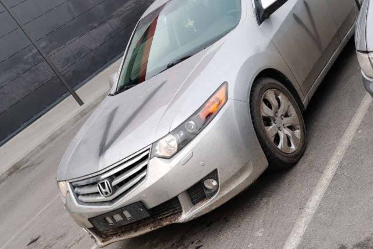 HannaLiubakova's tweet photo. Are Russian servicemen driving around #Belarus in stolen cars from #Ukraine? In the Homiel region, a number of civilian cars with the „V” letters and without license plates were spotted. Ukrainian media previously reported that Russian soldiers stole used and new cars in Ukraine https://t.co/4JBSAFpLtT