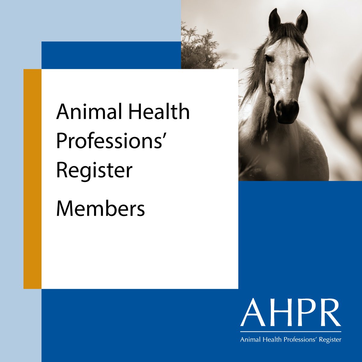 AHPR_UK's tweet photo. Learn a bit more about AHPR members...
#ahpr #ahpraccredited https://t.co/FrbF83zlph https://t.co/uq0MIa2Rpn